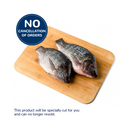 Tilapia Saci Big
