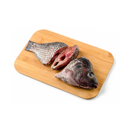Tilapia Saci Big