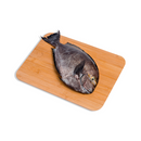 Indangan Fish (Palig)