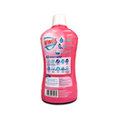 Wings Liquid Detergent Floral Bouquet