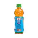 Nestea Apple Flavored Tea Drink 350ml