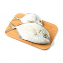 Talakitok Fish