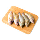 Sari Fish