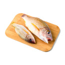 Sari Fish