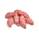Camote Laman