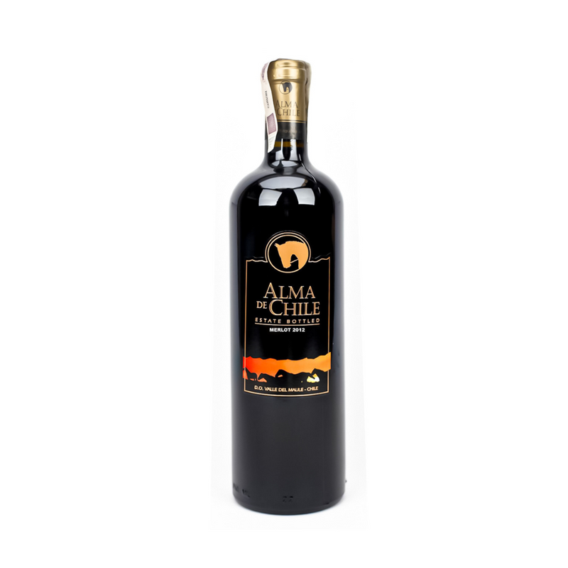 Alma de Chile Merlot Reserva Red Wine 750ml