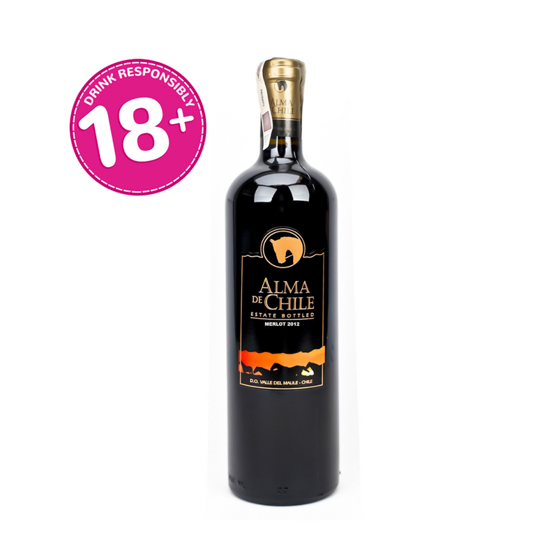 Alma de Chile Merlot Reserva Red Wine 750ml