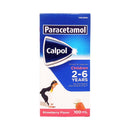 Calpol Paracetamol 120mg/5ml Suspension 120ml