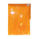 Colored File Folder Short 3's