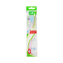 Cleene Clio Toothbrush Economy