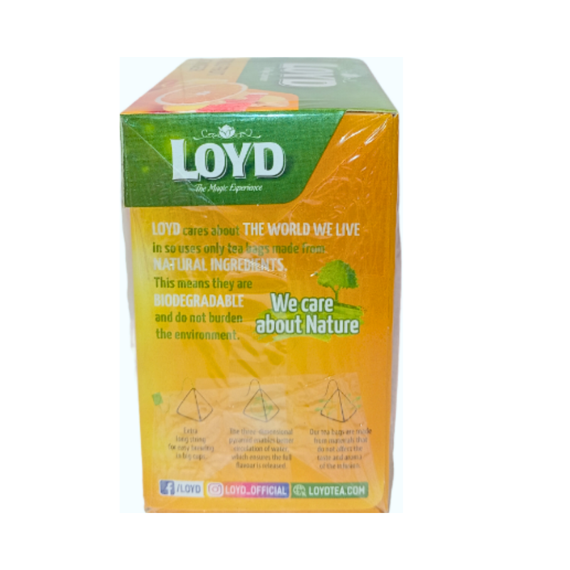 Loyd Flavoured Tea Ginger And Citrus Fruit 20's