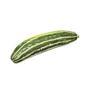 Zucchini