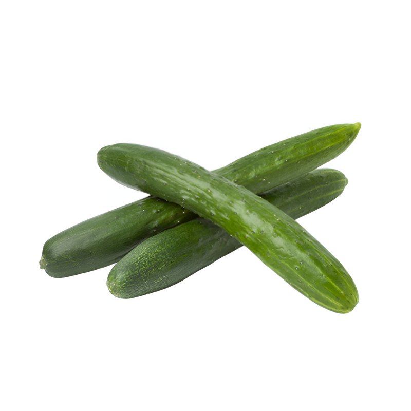 Japanese Cucumber