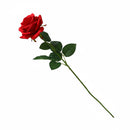 Ideal Living Rose Flower Single