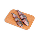 Solid (Dalagang Bukid)