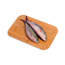 Solid (Dalagang Bukid)