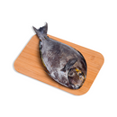 Indangan Fish (Palig)