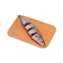 Burot (Galunggong Jutay)