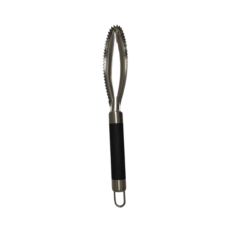 Ideal Living Fish Scaler