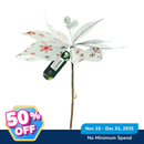 Ideal Living Christmas Poinsettia