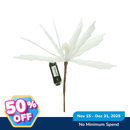 Ideal Living Christmas Poinsettia