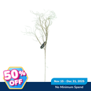 Ideal Living Christmas Twigs