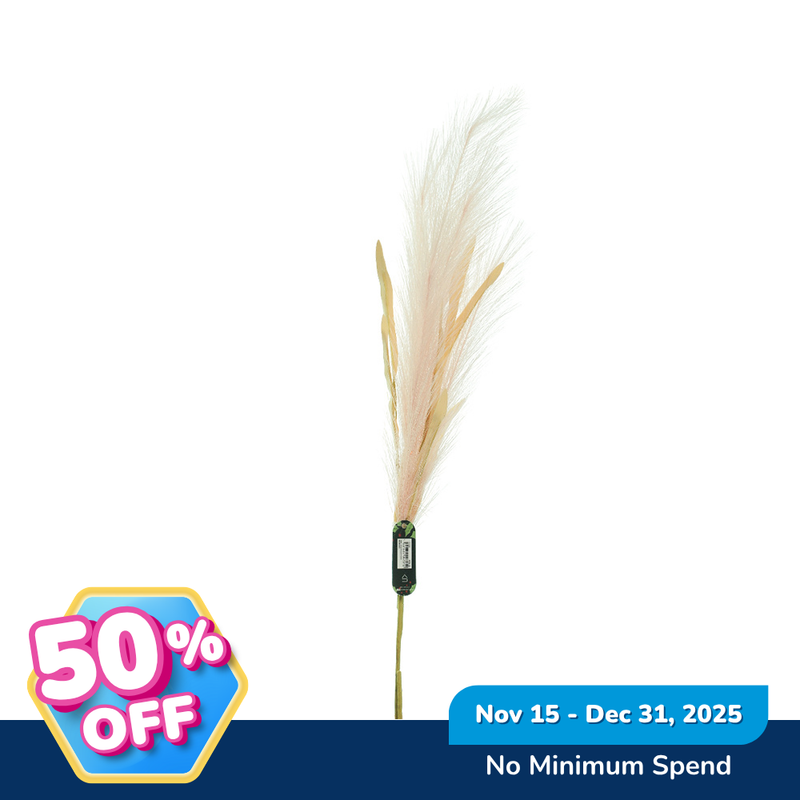 Ideal Living Pampas Grass