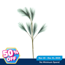 Ideal Living Pampas Grass