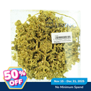 Ideal Living 10in1 Christmas Ornaments