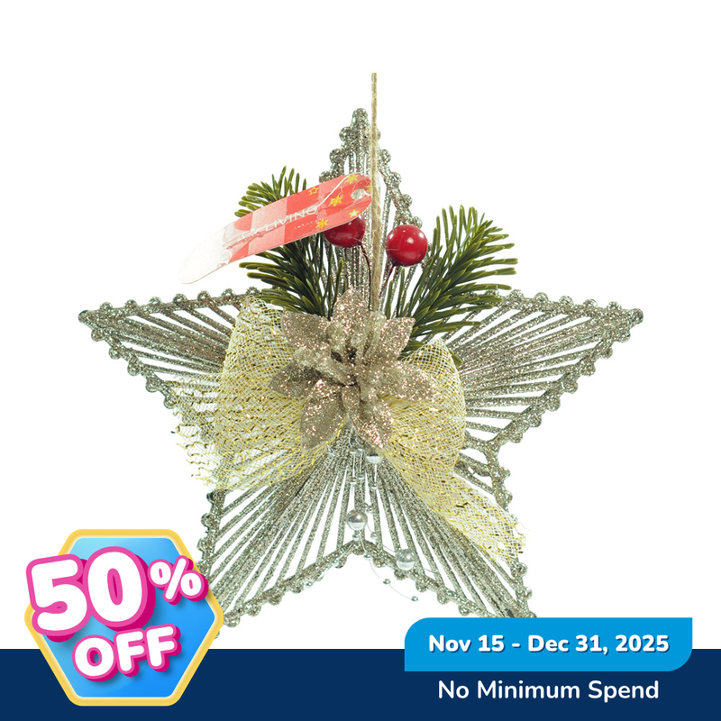 Ideal Living Christmas Star Ornament