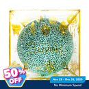 Ideal Livng Christmas Ball