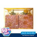 Ideal Living 2in1 Christmas Gift Box