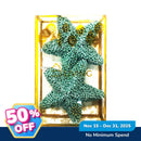 Ideal Living 2in1 Christmas Star