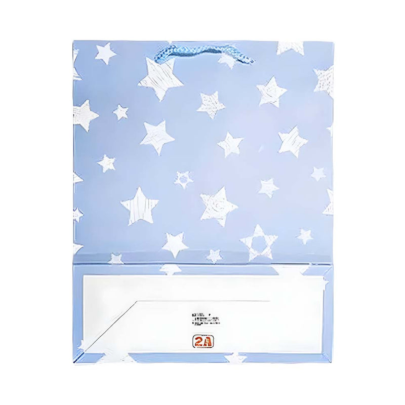 2A Coated Paper Bag All Occasion Medium
