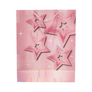 Coated Paper Bag All Occasion Medium