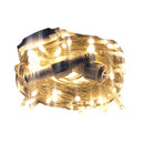 Fuji Bright 100 Led Steady Light Clear Wire Warm White 8.5m