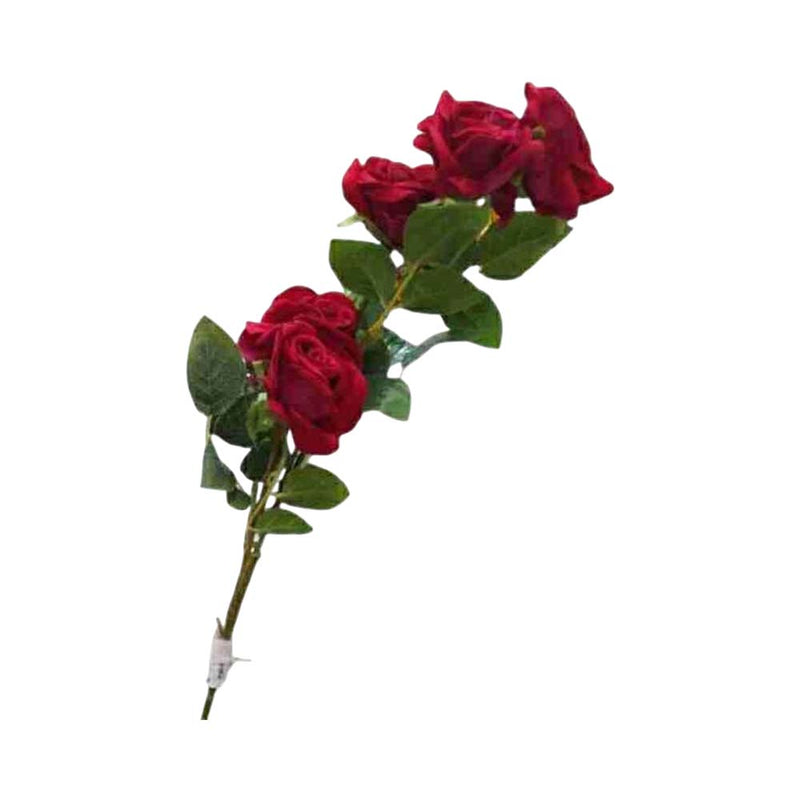 Ideal Living Rose 5H