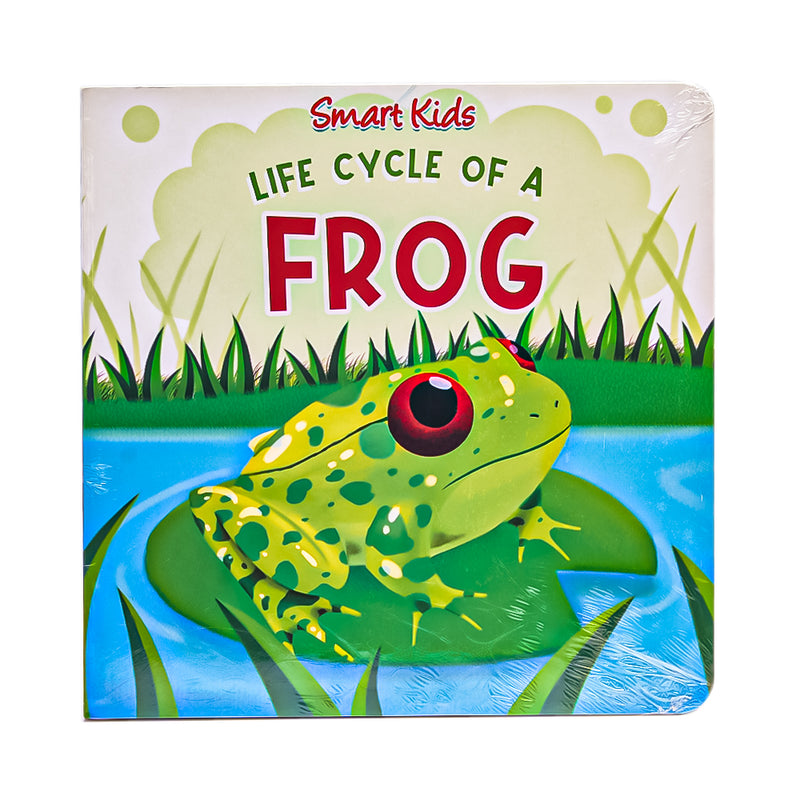 Smart Kids Life Cycle Of A Frog