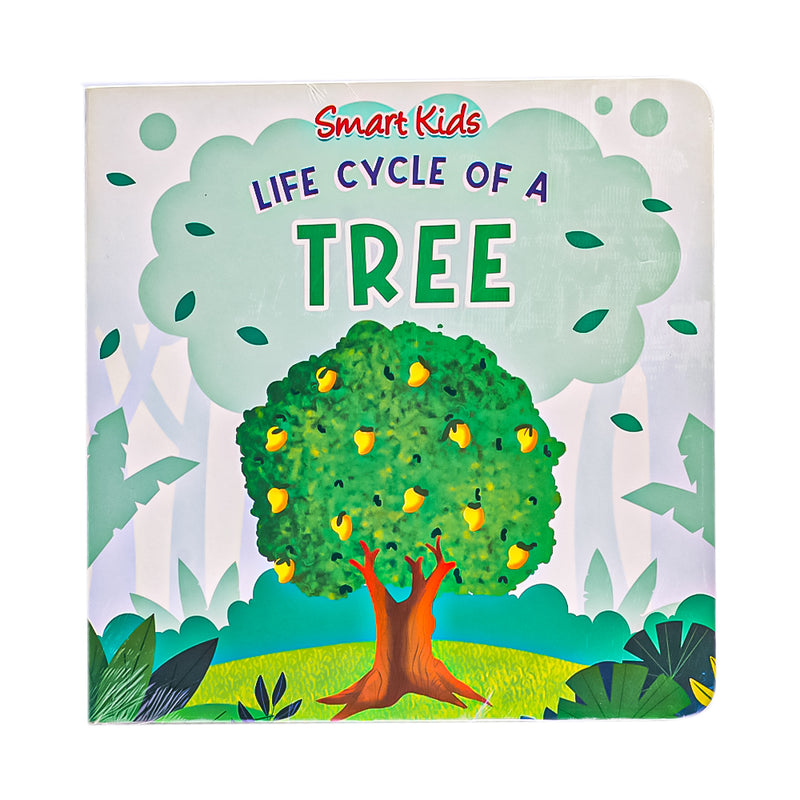 Smart Kids Life Cycle Of A Tree
