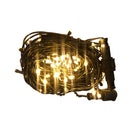 Fuji Bright 100 LED Steady String Light With Slow-Motion 8.5m