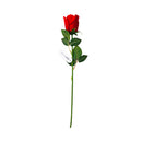 Ideal Living Rose Flower Single