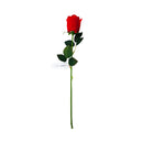 Ideal Living Rose Flower Single