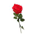 Ideal Living Rose Flower Single