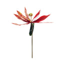 Ideal Living Christmas Poinsettia