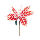 Ideal Living Christmas Poinsettia