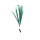 Ideal Living Pampas Grass