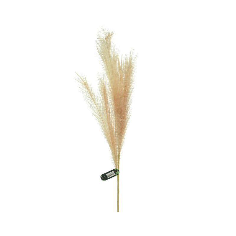 Ideal Living Pampas Grass