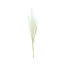 Ideal Living Pampas Grass