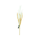 Ideal Living Pampas Grass