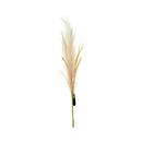 Ideal Living Pampas Grass